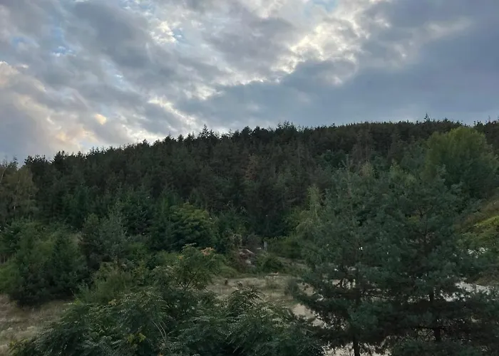 Viva Retreat شقة فيلينغراد